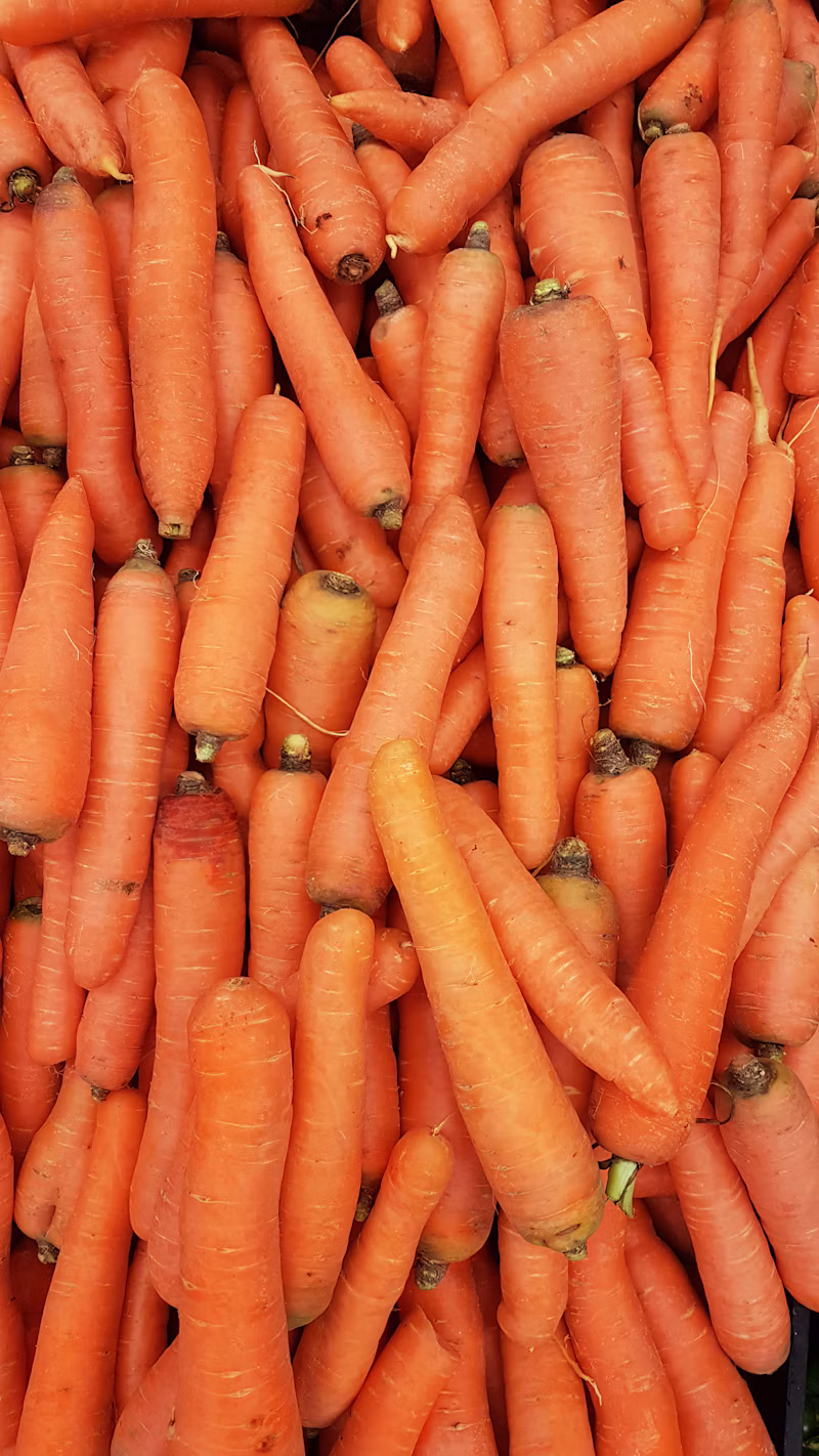 Filé de Peito de Frango (kg)